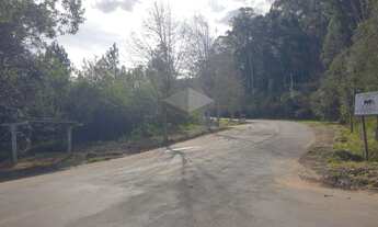 Imagem 4: Área com 10.000 metros quadrados em Campo Bom