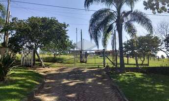 Imagem: Sítio a menos de 1 Km do Centro de Lomba