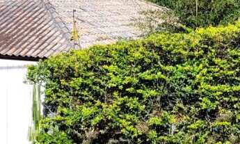 Imagem 3: Terreno com 19 metros de testada no Ideal - NH, sol da manhã, quiosque, poço artesiano