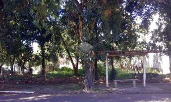 Imagem 5: Ótimo terreno comercial, esquina, próximo a FENAC - fácil acesso a BR 116