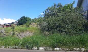 Imagem 3: Terreno em aclive com vista panorâmica, próximo a BR116