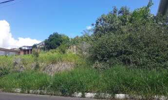 Imagem 6: Terreno em aclive com vista panorâmica, próximo a BR116