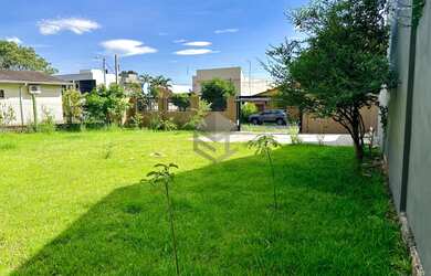 Imagem 5: Terreno plano 420m2