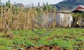 Imagem 5: Terreno Bairro Floresta - Dois Irmãos