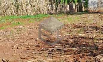 Imagem 3: Terreno Bairro Floresta - Dois Irmãos