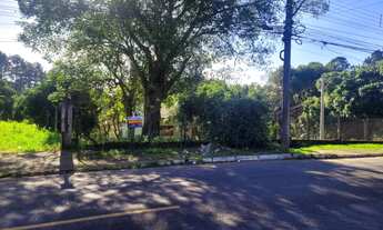 Imagem: Terreno em importante avenida no bairro