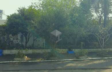 Imagem 2: Terreno plano bairro Pátria Nova medindo 209m² (FRENTE NORTE