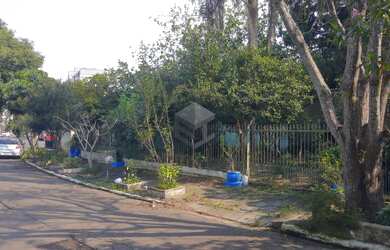 Imagem 5: Terreno plano bairro Pátria Nova medindo 209m² (FRENTE NORTE