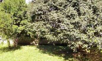 Imagem 2: TERRENO PLANO NO BAIRRO IDEAL - NOVO HAMBURGO, medindo 437,50m²