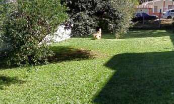 Imagem 4: TERRENO PLANO NO BAIRRO IDEAL - NOVO HAMBURGO, medindo 437,50m²