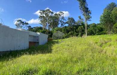 Imagem 5: Terreno plano 12 x 25