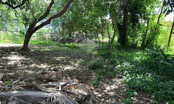 Imagem 7: ExcelenteTerreno em Novo Hamburgo