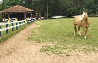 Imagem 7: Terreno 1000m2 privativos