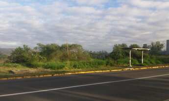 Imagem: Terreno com 4 Dormitorio(s) localizado(a)