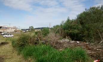 Imagem 6: Terreno com 2 Dormitorio(s) localizado(a) no bairro Jardim São Judas Tadeu em Sete Quedas