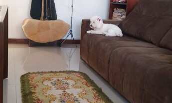 Imagem 2: Apartamento com 3 Dormitorio(s) localizado(a) no bairro Santa Luzia em São Joaquim (Umiri