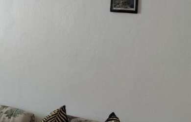 Imagem 2: Casa com 3 Dormitorio(s) localizado(a) no bairro Querência em Cassino / Rio Grande do Sul