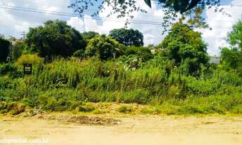 Imagem: Terreno com 4 Dormitorio(s) localizado(a)