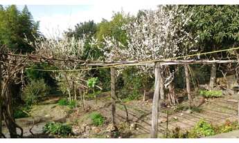 Imagem 2: Casa com 4 Dormitorio(s) localizado(a) no bairro Centro em Bagé / Rio Grande do Sul Ref.
