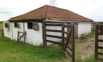 Imagem 6: Chácara / Sítio com 2 Dormitorio(s) localizado(a) no bairro Boa Vista em Bagé / RIO GRAND