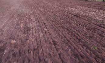 Imagem 4: Excelente Sítio, 20M² de Área Construída