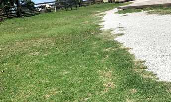 Imagem: Excelente Sítio, 20M² de Área Construída