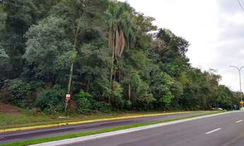 Imagem 4: Terreno com 3 Dormitorio(s) localizado(a) no bairro Cidade Nova em Ivoti / Rio Grande do