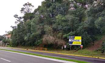 Imagem 2: Terreno com 3 Dormitorio(s) localizado(a) no bairro Cidade Nova em Ivoti / Rio Grande do