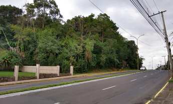 Imagem 4: Terreno com 3 Dormitorio(s) localizado(a) no bairro Cidade Nova em Ivoti / Rio Grande do