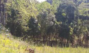 Imagem: Terrenos em Promoção Black Friday