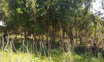 Imagem 4: Terrenos em Promoção Black Friday