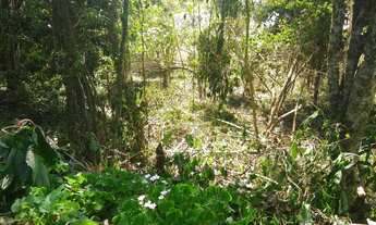 Imagem 6: Terrenos em Promoção Black Friday