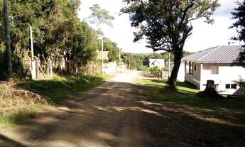 Imagem 2: Terreno com 4 Dormitorio(s) localizado(a) no bairro Cidade Nova em Ivoti / Rio Grande do