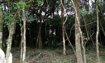 Imagem 3: Terreno com 4 Dormitorio(s) localizado(a) no bairro Cidade Nova em Ivoti / Rio Grande do