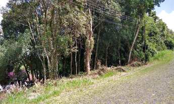 Imagem 2: Terreno Comercial ou Residencial