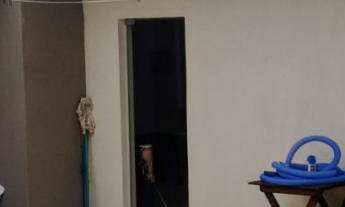 Imagem: Casa / Sobrado com 4 Dormitorio(s) localizado(a)