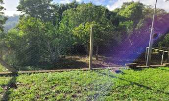 Imagem 7: Casa / Sobrado com 3 Dormitorio(s) localizado(a) no bairro Centro em Ivoti / RIO GRANDE D