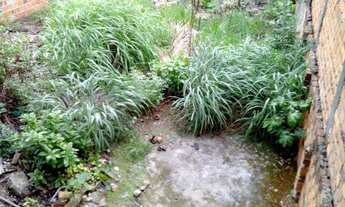 Imagem 7: Prédio com três andares para venda proximo a Av Presidente Dutra