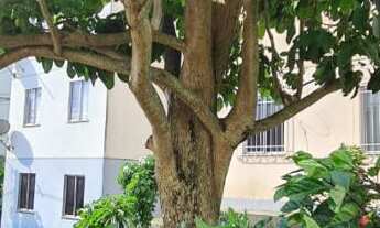 Imagem 2: Apartamento para venda no Vila Olimpia em Feira de Santana