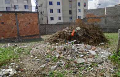 Imagem 6: Terreno para venda no bairro Tomba em Feira de Santana