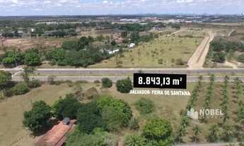 Imagem 5: Terreno com 8.843,13m² em Feira de Santana: Oportunidade Única na Avenida Noide Cerqueira!