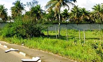 Imagem 4: Terreno com 8.843,13m² em Feira de Santana: Oportunidade Única na Avenida Noide Cerqueira!