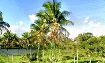 Imagem 1: Terreno com 8.843,13m² em Feira de Santana: Oportunidade Única na Avenida Noide Cerqueira!