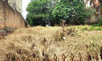 Imagem 6: TERRENO NO BAIRRO SILVA