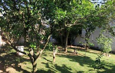 Imagem 5: Excelente casa 3 Dormitórios no Coração de Sapucaia