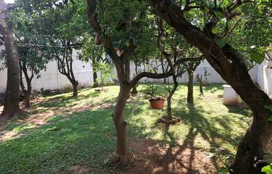 Imagem 4: Excelente casa 3 Dormitórios no Coração de Sapucaia