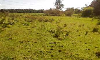 Imagem: Terreno com 8 Dormitorio(s) localizado(a)