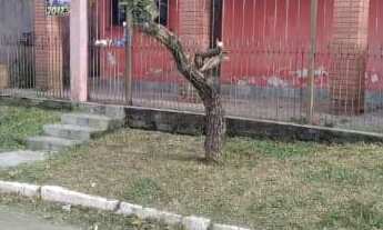 Imagem: Oportunidade! Casa para venda no Guajuviras