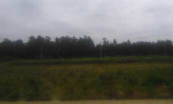 Imagem: Área Industrial com 3 Dormitorio(s) localizado(a)