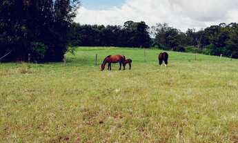 Imagem: Sítio com 2 Dormitorio(s) localizado(a)